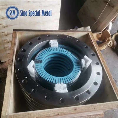 Fflans ffug Monel K500